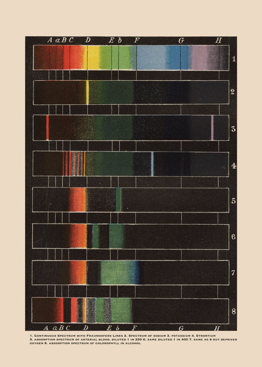 Spectrum Analysis Print