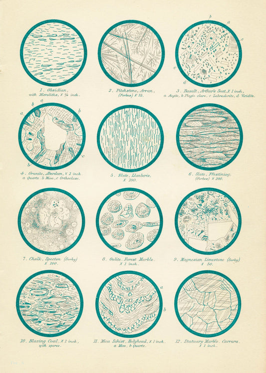 Geology Print