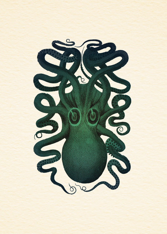 Octopus