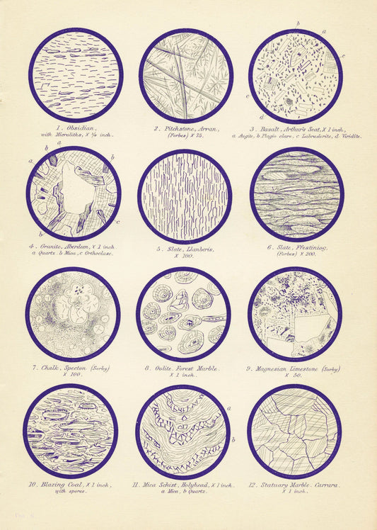 Geology Print