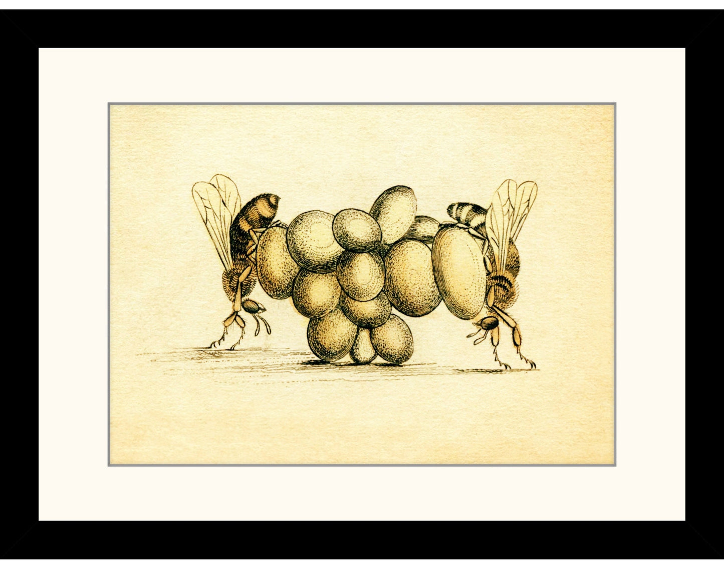 Bee Print