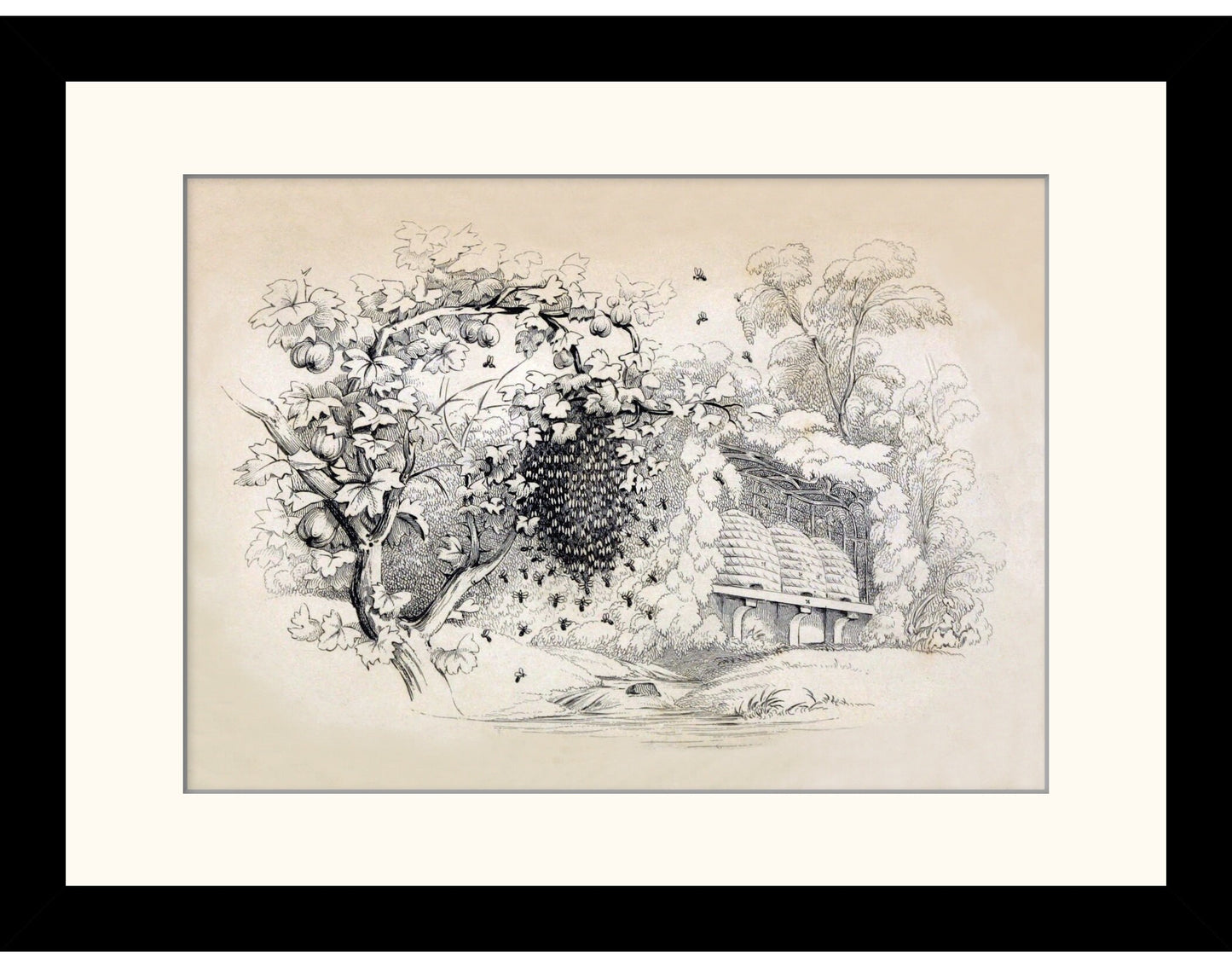 Swarming Bees Print