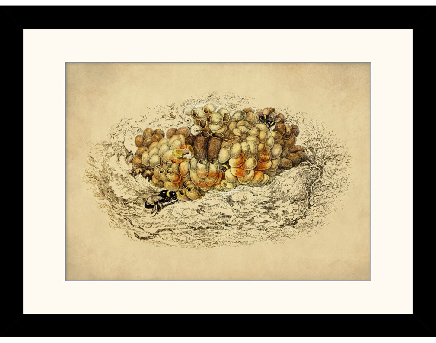 Bumblebee Nest Print