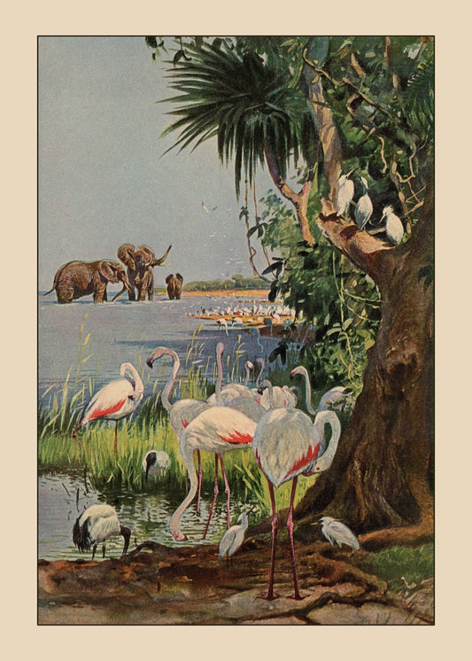 African Wildlife Print