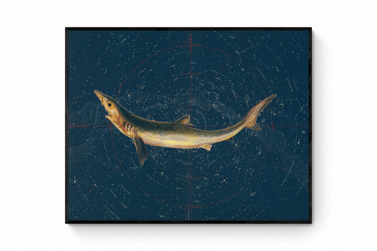 Celestial Shark Print