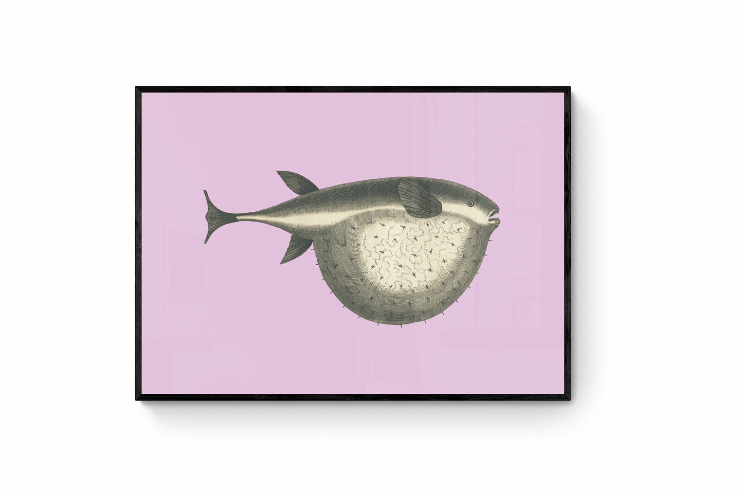 Tetrodon Fish Print