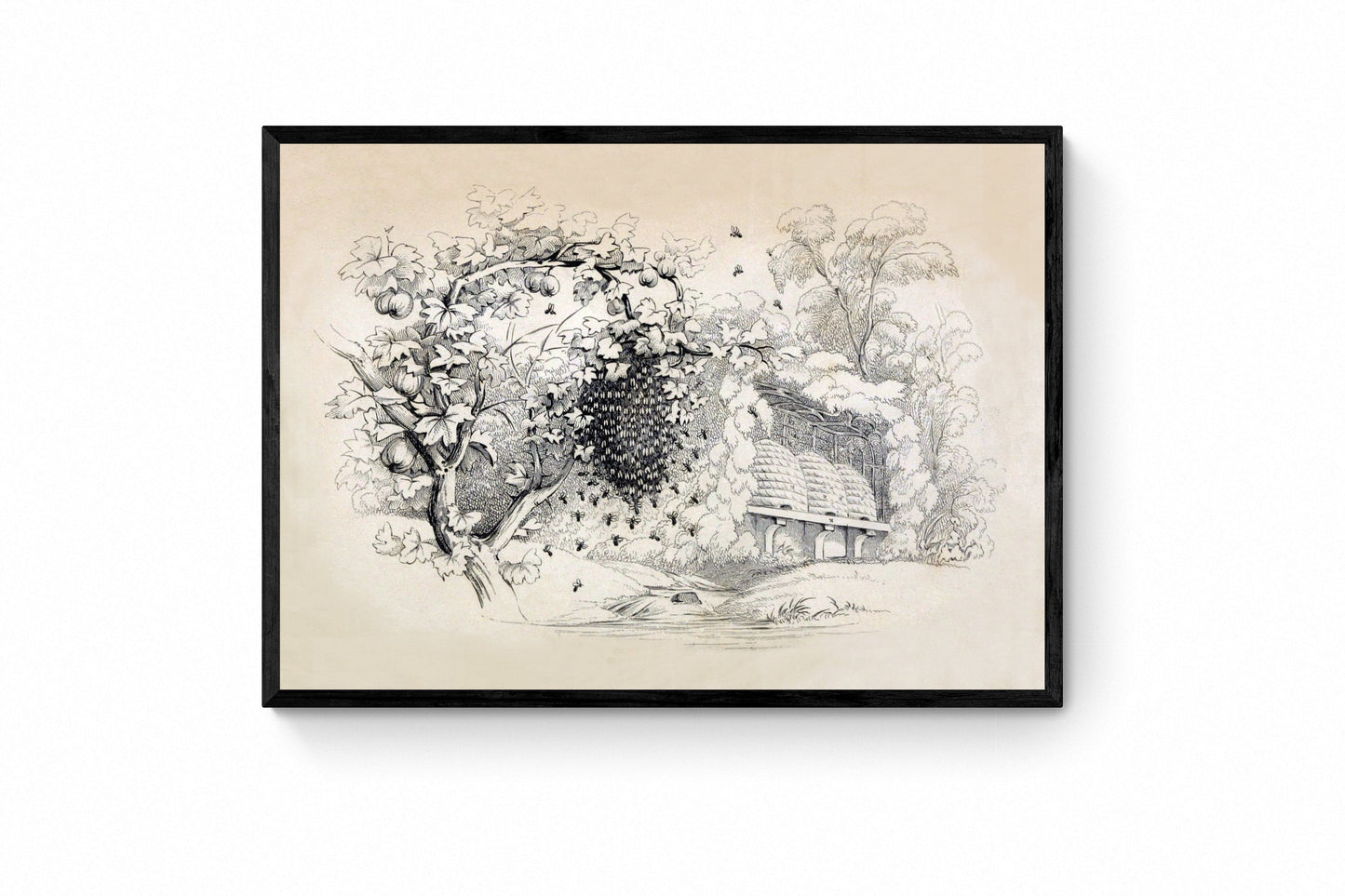 Swarming Bees Print