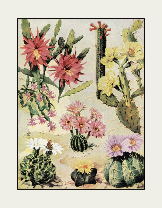 Cactus Jungle - Antique Art Reproduction - Surreal Antique Collage - Vintage Wall Art - Retro Wall Decor - Available Framed