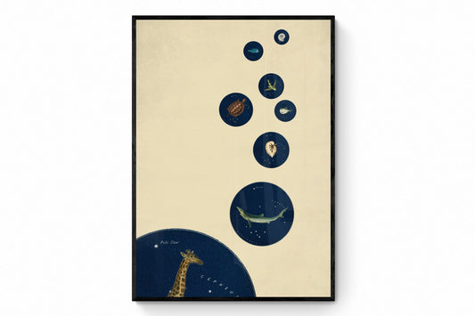 Celestial Bubbles Print - Antique Art Reproduction - Surreal Art - Vintage Wall Art - Retro Wall Decor - Available Framed