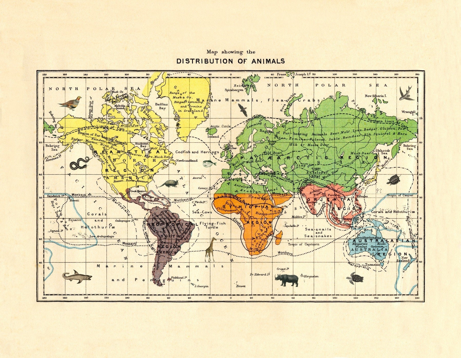 Zoological World Map showing the distribution of animals - Antique Reproduction - World Map Poster - Wildlife - Available Framed