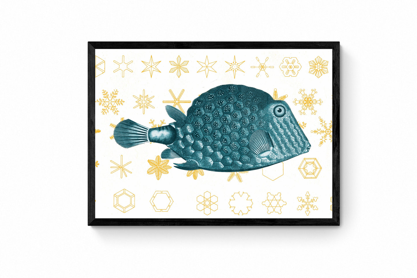 Fish and Snowflakes Print