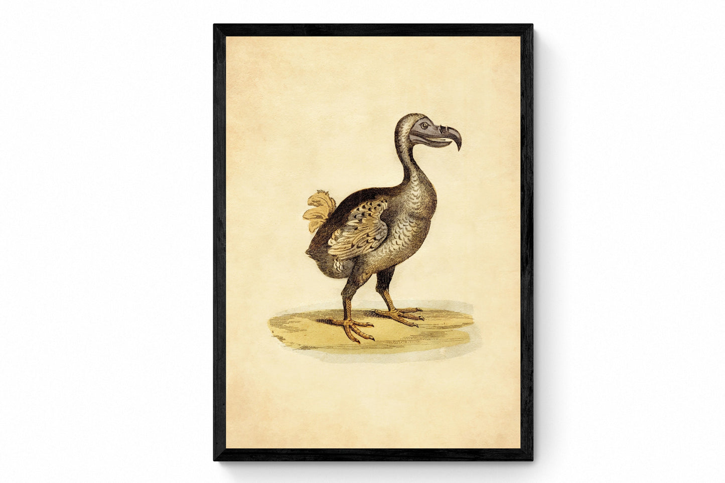 Dodo Print