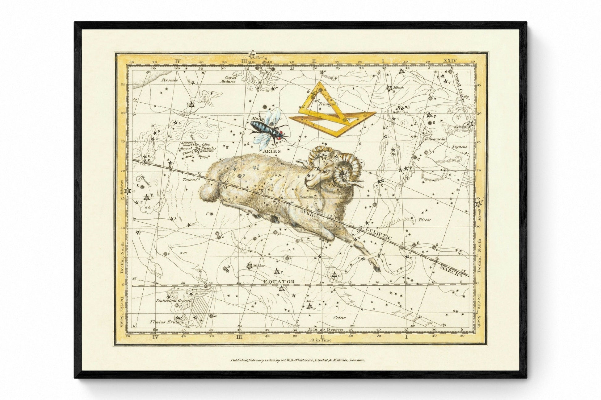 Aries, Triangula and Musca Constellations Antique Reproduction - Alexander Jamieson - dated 1822 - Zodiac - Astronomy - Available Framed