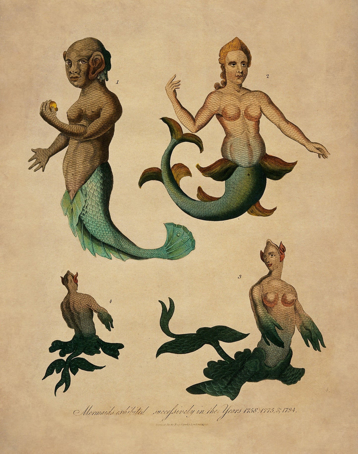 Mermaids exhibited successively in the years 1758,1775 and 1794 Antique Reproduction - Print dated 1817 - Available Framed
