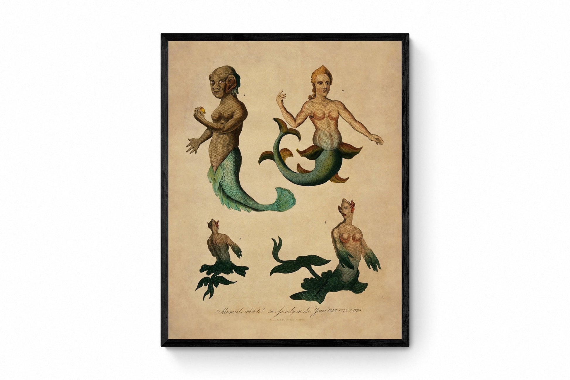 Mermaids exhibited successively in the years 1758,1775 and 1794 Antique Reproduction - Print dated 1817 - Available Framed