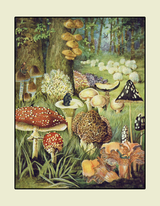 Fungi World - Antique Art Reproduction - Surreal Antique Collage - Vintage Wall Art - Retro Wall Decor - Available Framed