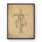 Skeleton Chest Print le Framed