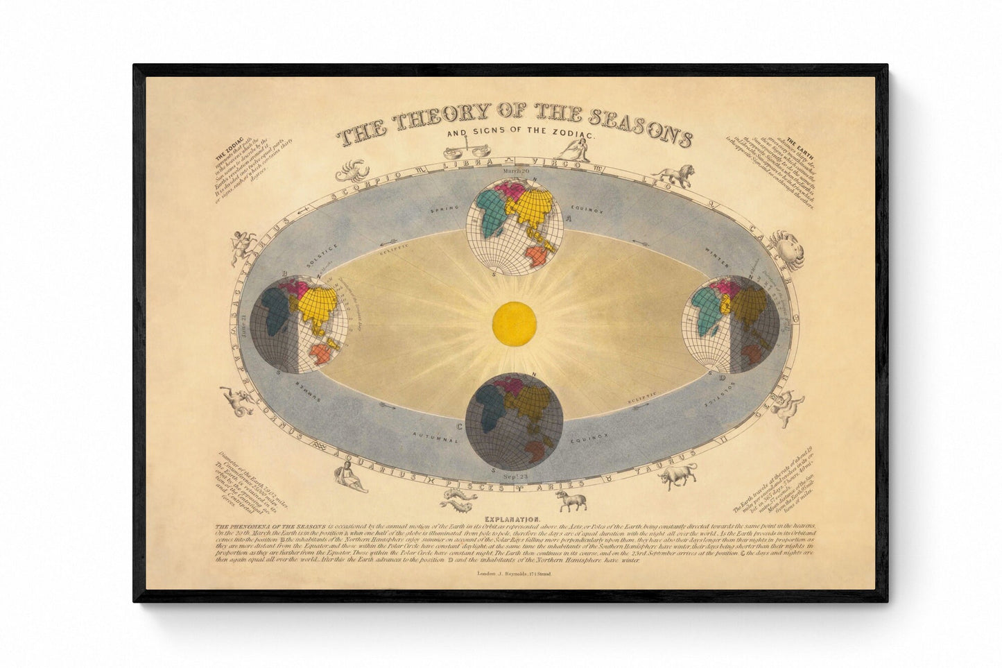 Astronomy - Annual Revolution of the Earth round the Sun Antique Art Reproduction - Astronomy - Celestial Art - Available Framed