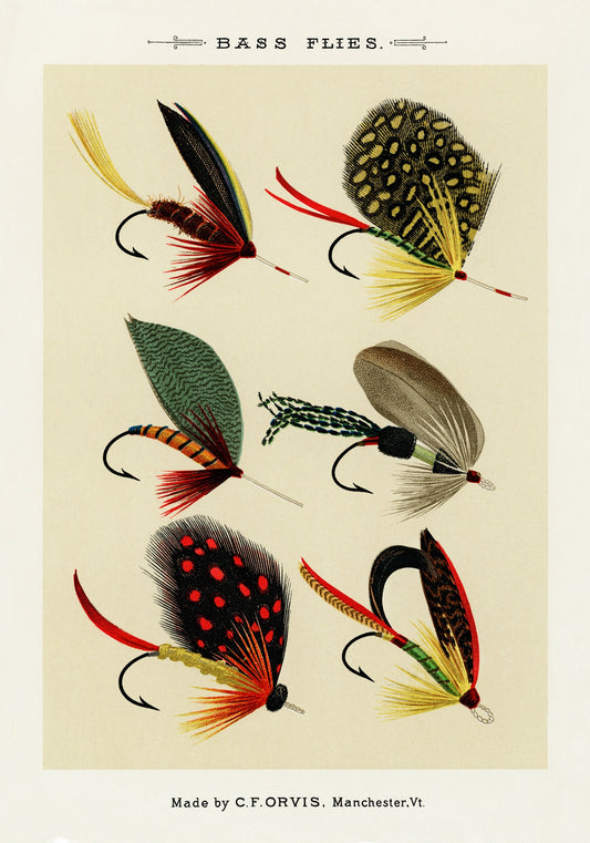 Bass Flies - Antique Reproduction - Fly Fishing - Fishing Flies - Mary Orvis Marbury - Available Framed