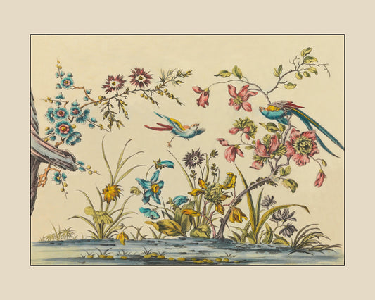 Botanical Bird Print - Chinese Subjects used in painting of Silks - Antique Reproduction - Jean Pillement - dated 1760 - Available Framed