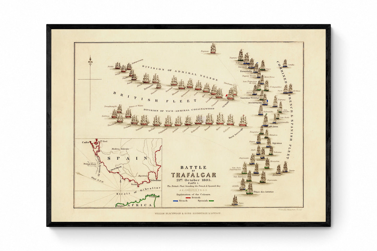 Battle of Trafalgar Map showing positions in Battle - Antique Reproduction - Naval Military History - Vintage Wall Map - Available Framed