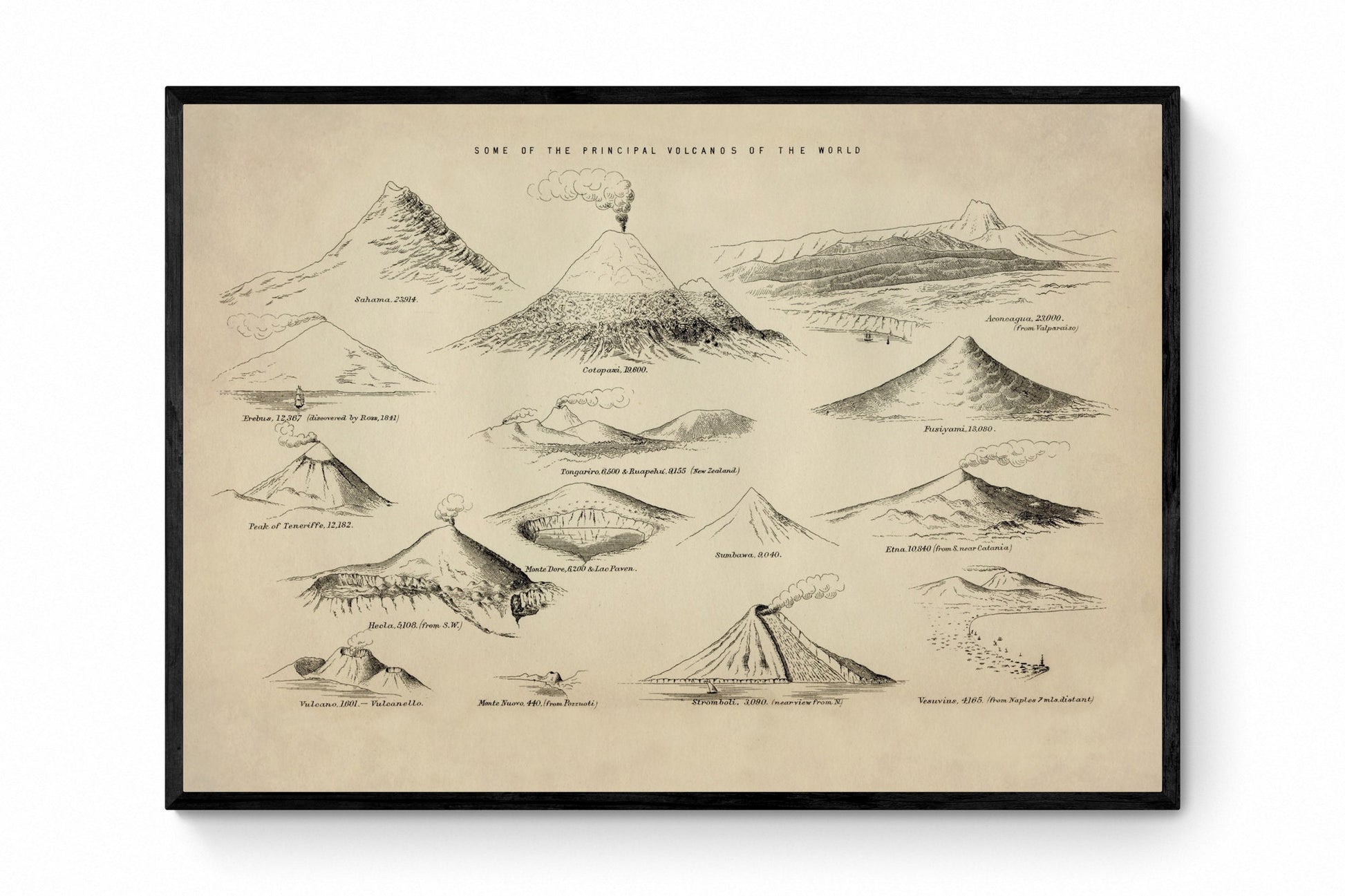 Some of the Principal Volcanoes of the World Antique Reproduction - Volcanology - Geology - Sahama, Erebus, Monte Nuovo - Available Framed