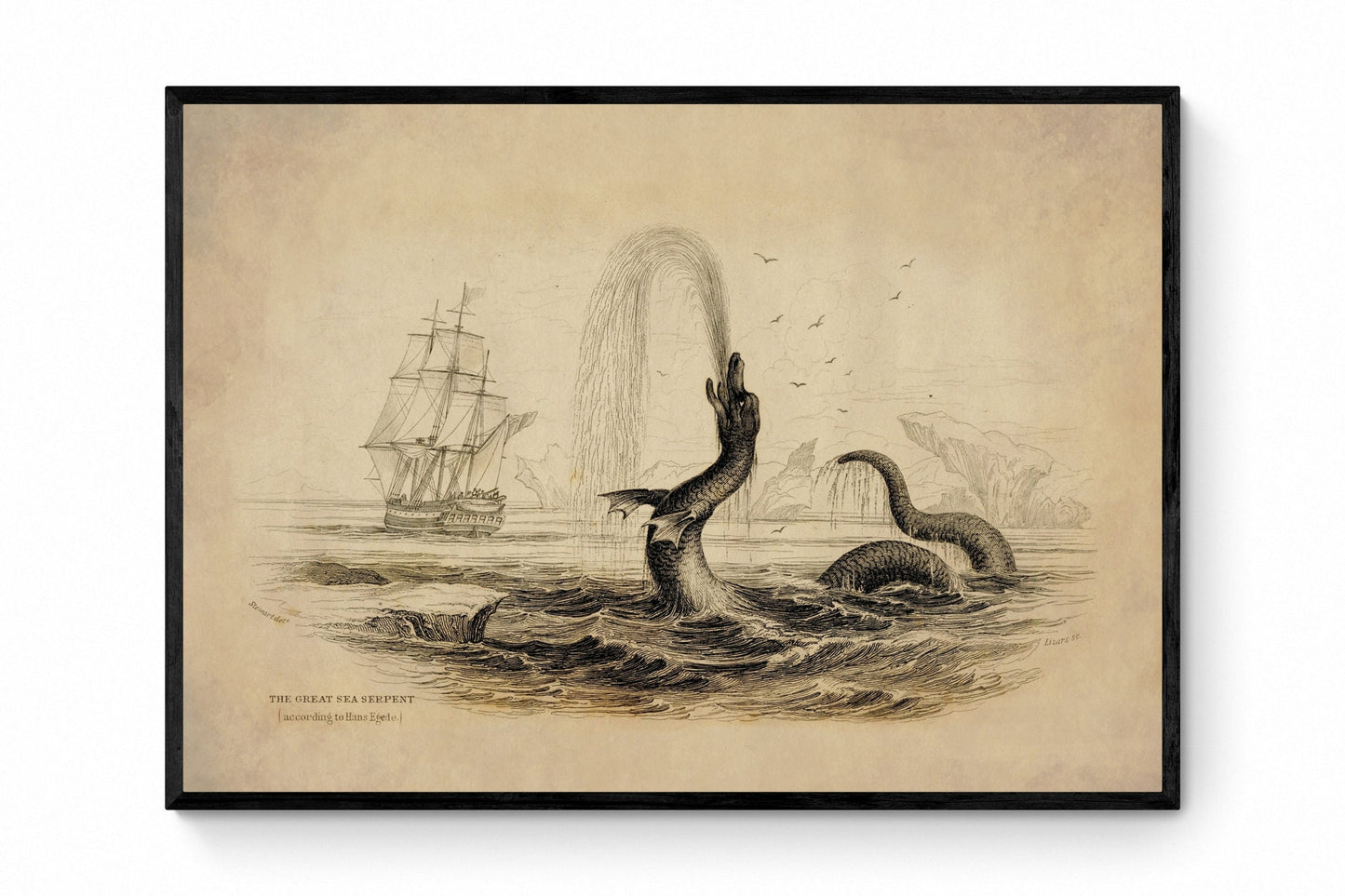 The Great Sea Serpent (according to Hans Egede) Print dated 1839 - Antique Reproduction - Sea Monster - William Jardine - Available Framed