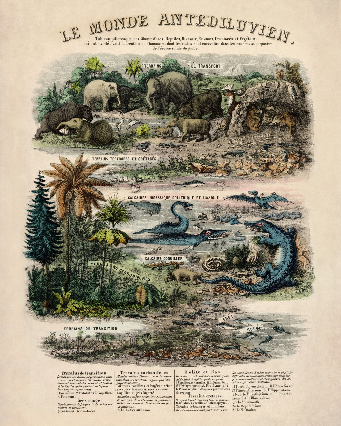 The Antediluvian World - Antique Reproduction - Palaentology - Fossil - Geology - Britain - Available Framed